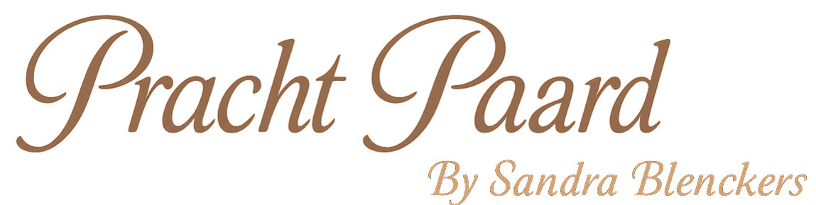 Pracht Paard by Sandra Blenckers